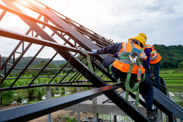 Best Roof Gutter Cleaning  in Leesburg, OH