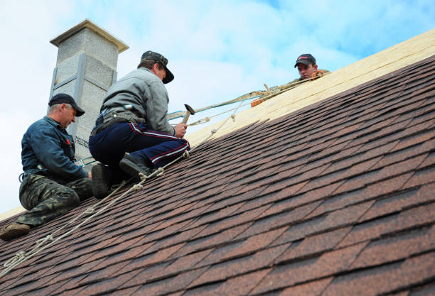 Best Sealant for Roof  in Leesburg, OH